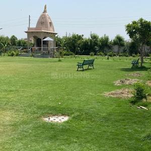 Image of 400 Sq.ft 1 BHK Apartment / Flat for rent in AVL 36, Sector 36, Gurgaon for Rs. 22000