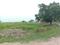 Wander Valley Main Image 1