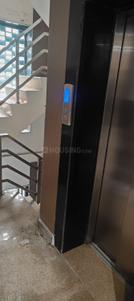 Hall Image of 1810 Sq.ft 3 BHK Independent House for rent in Tilak Nagar New Delhi for Rs. 58000