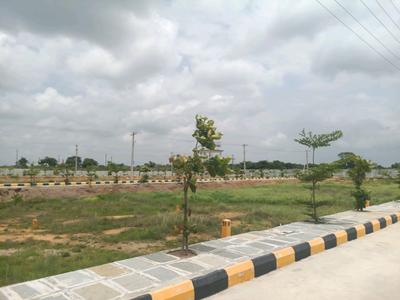 IDA Plot View 1