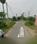 Hario Plot View 2