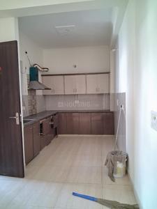 Kitchen Image of 1750 Sq.ft 2.5 BHK Builder Floor for rent in Sector 46 Gurgaon for Rs. 40000