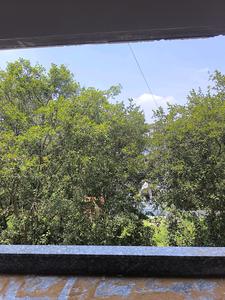 Living Room Image of 3150 Sq.ft 5 BHK Apartment / Flat for sale in Vajarahalli Bengaluru for Rs. 29000250