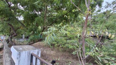 Image of 4800 Sq.ft Residential Plot / Land for sale in Panaiyur, Sholinganallur, Chennai for Rs. 54000000