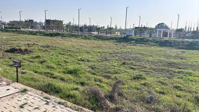 Image of 1350 Sq.ft Residential Plot / Land for sale in Sector 116, Mohali for Rs. 13800000