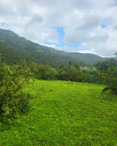 Image of 20000 Sq.ft Residential Plot / Land for sale in Bhor, Pune for Rs. 1800000
