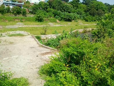 Image of 900 Sq.ft Residential Plot / Land for sale in Lakkad Ghat, Rishikesh for Rs. 2500000