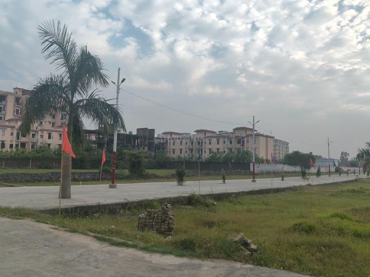 Patanjali Yogpeeth Main Image 1