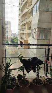 Balcony Image of 1650 Sq.ft 3 BHK Apartment / Flat for sale in SNN Raj Lakeview Phase II, Subramanyapura Bengaluru for Rs. 33000000