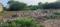 Bhinmal Main Image 1
