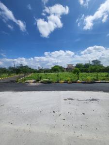 Athvelly Plot View 2