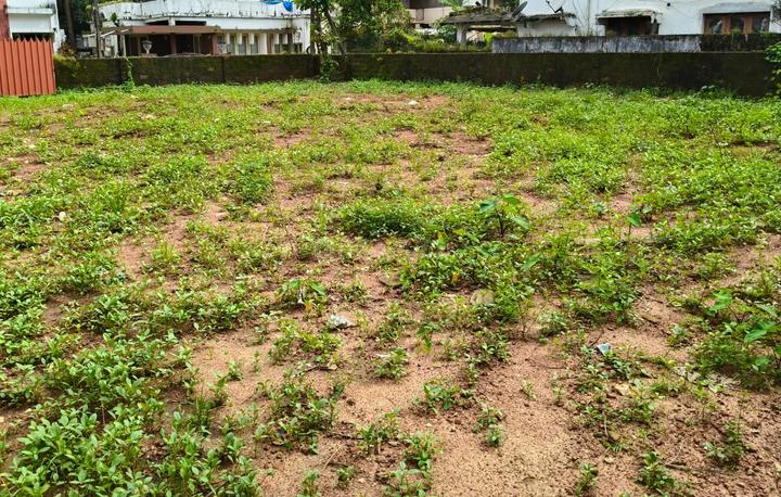 Odyssey Apartment Main Image 1