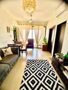 Hall Image of 602 Sq.ft 1 BHK Apartment / Flat for sale in Panjim Goa for Rs. 8200000