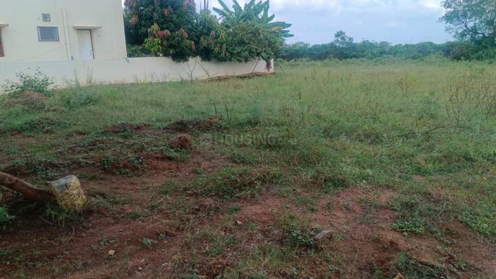 Kadthal Main Image 1