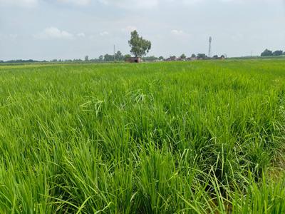Image of 425 Sq.ft Residential Plot / Land for sale in Sector Xu 2, Greater Noida for Rs. 31875000