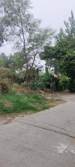 NTPC Society Main Image 1