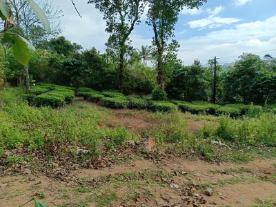 Residential Plot