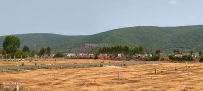 EMERALD HILL SCAPE Plot View 2