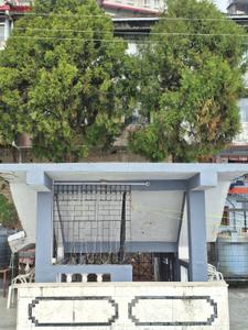 Building Image of 675 Sq.ft 2 BHK Builder Floor for sale in Mall Road Mussoorie for Rs. 11000000