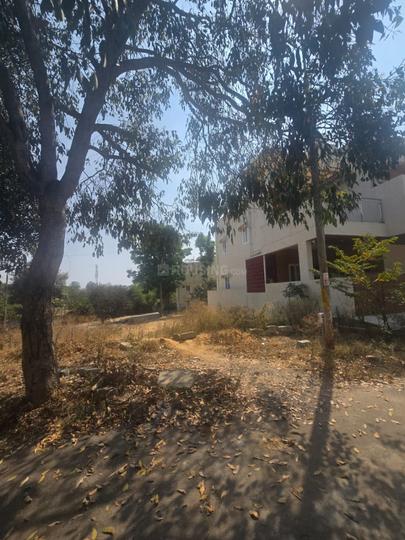 SAGAKS002 Main Image 1