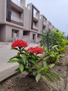Image of 1700 Sq.ft 3 BHK Independent House for rent in KTR Krishna Enclave Phase 1, Ayodhya Bypass, Bhopal for Rs. 20000