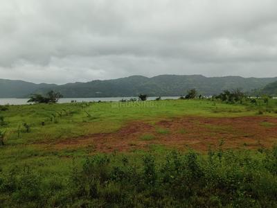 Residential Plot
