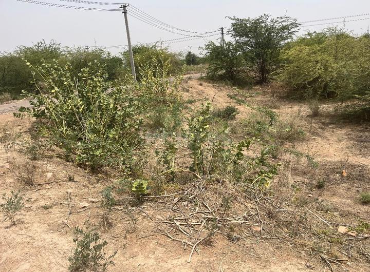 Meera Nagar Main Image 1