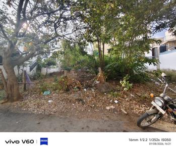 IInd Phase Plot View 1