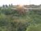 Satya Merano Greens Main Image 1