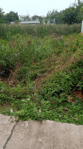 Vidya Nagar More Images 2