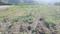 Dunga Valley Plot View 2