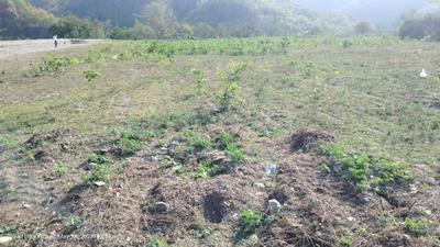 Dunga Valley Plot View 2