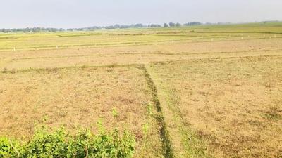 Image of 14400 Sq.ft Residential Plot / Land for sale in Prantik, Bolpur-Santiniketan for Rs. 2000000