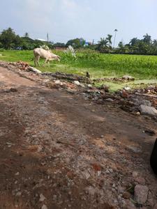 Wander Valley Internal Roads 2