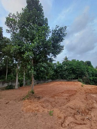 Amadi Nagar, Sreekariyam Main Image 1