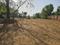 Bihta Plot View 2