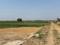 Hardas Bigha Plot View 2