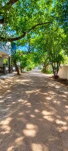 Image of 1015 Sq.ft 2 BHK Apartment / Flat for rent in Sampigehalli, Bengaluru for Rs. 23000