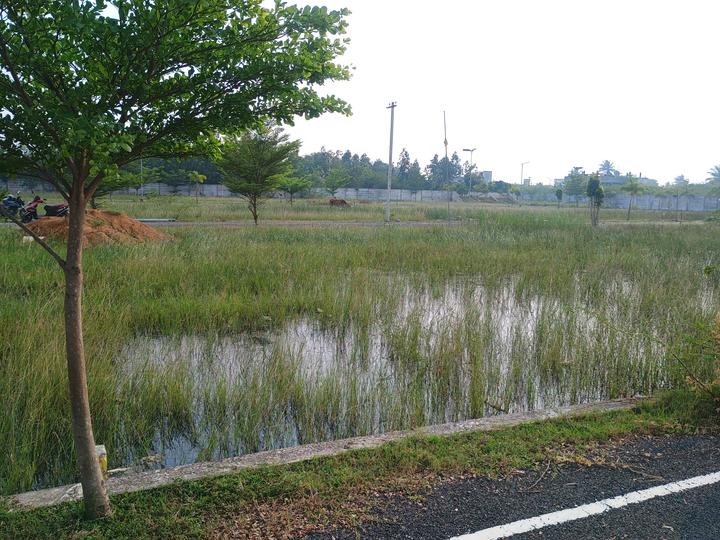 StepsStone Ria Srinivasa Palms Main Image 1