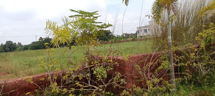 Patrapada Main Image 1