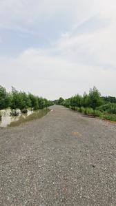 Image of 6000 Sq.ft Residential Plot / Land for sale in Sejbahar, Raipur for Rs. 4200000