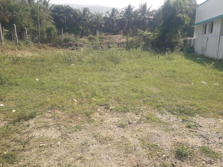 Karamadai Main Image 1