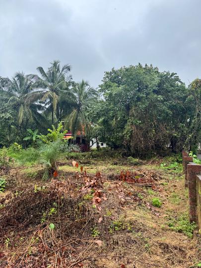 Arambol Main Image 1