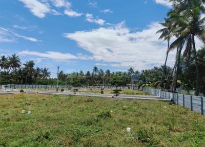 Residential Plot