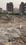 Neeraja properties Dealer Plot View 2