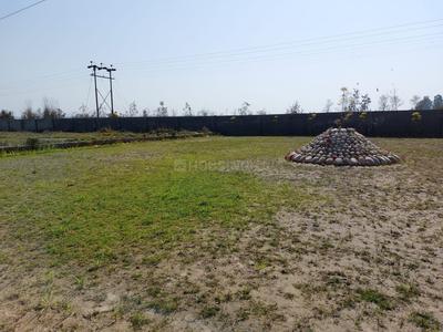 Chharba Plot View 2