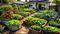 My Home Garden Main Image 1