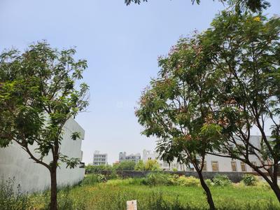 Image of 2250 Sq.ft Residential Plot / Land for sale in BPTP Amstoria , Sector 102, Gurgaon for Rs. 83000000