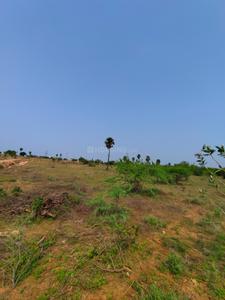 Image of 4624 Sq.ft Residential Plot / Land for sale in Avinashi Taluk, Tiruppur for Rs. 10000000