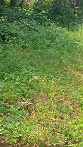 Image of 1200 Sq.ft Residential Plot / Land for sale in Anjanapura Township, Bengaluru for Rs. 14880000